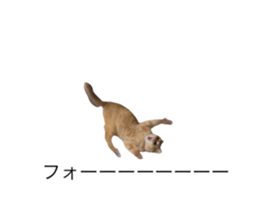 739876804