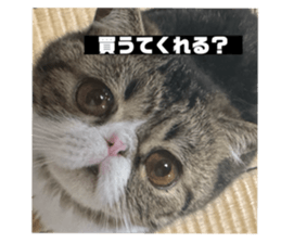 739877389