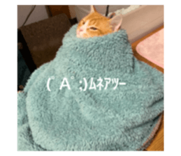 739890997