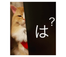 739891000