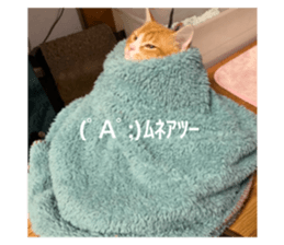 739896744