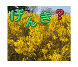 739915644