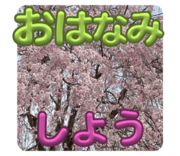 739915647
