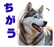 739931669