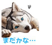 739931672