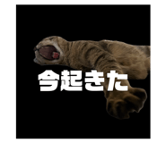 739967236