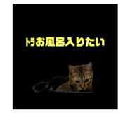 739967240