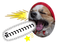 740013815