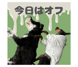 740014850