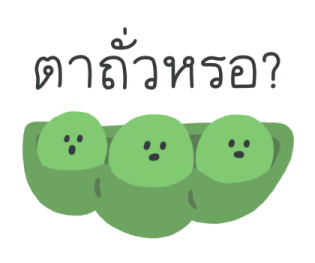 ลายที่ 51