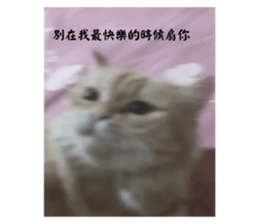 740080345