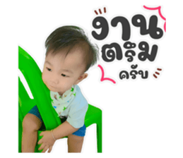 740081133