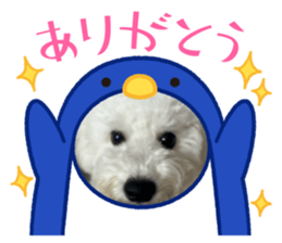 740093157