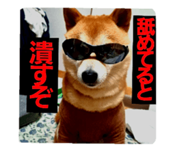740136073