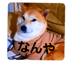 740136074
