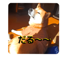 740136076