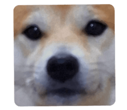 740136082