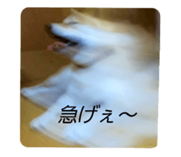 740136084
