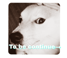 740136086