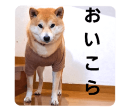 740136090