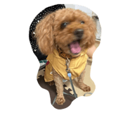 740143232