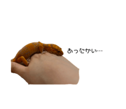 740158742