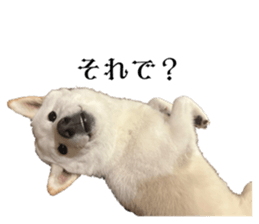 740173469