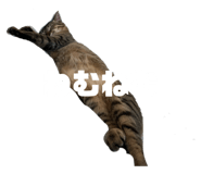 740194512