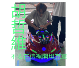 740211295