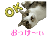 740246401