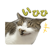 740246413