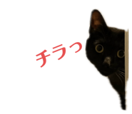 740246420