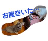 740246784