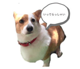 740260699
