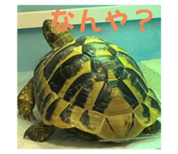 740272410