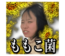 740276741