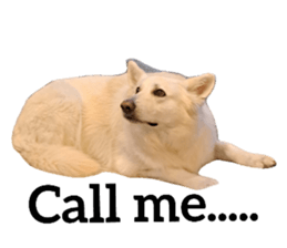 740280174