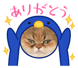 740332560