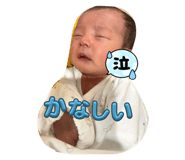 740350868