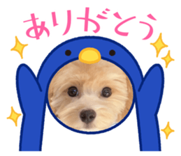 740355818