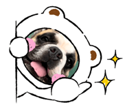 740358018
