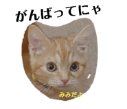 740365677