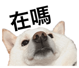 740366517