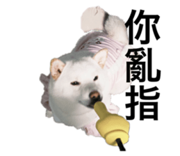 740366520