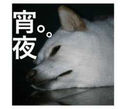 740366540