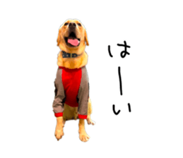 740367274