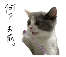 740368319