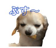 740374428