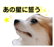 740374432