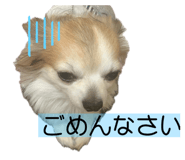 740374434
